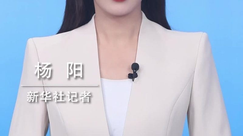 数据可视化图表类型解析：选择与优化之道